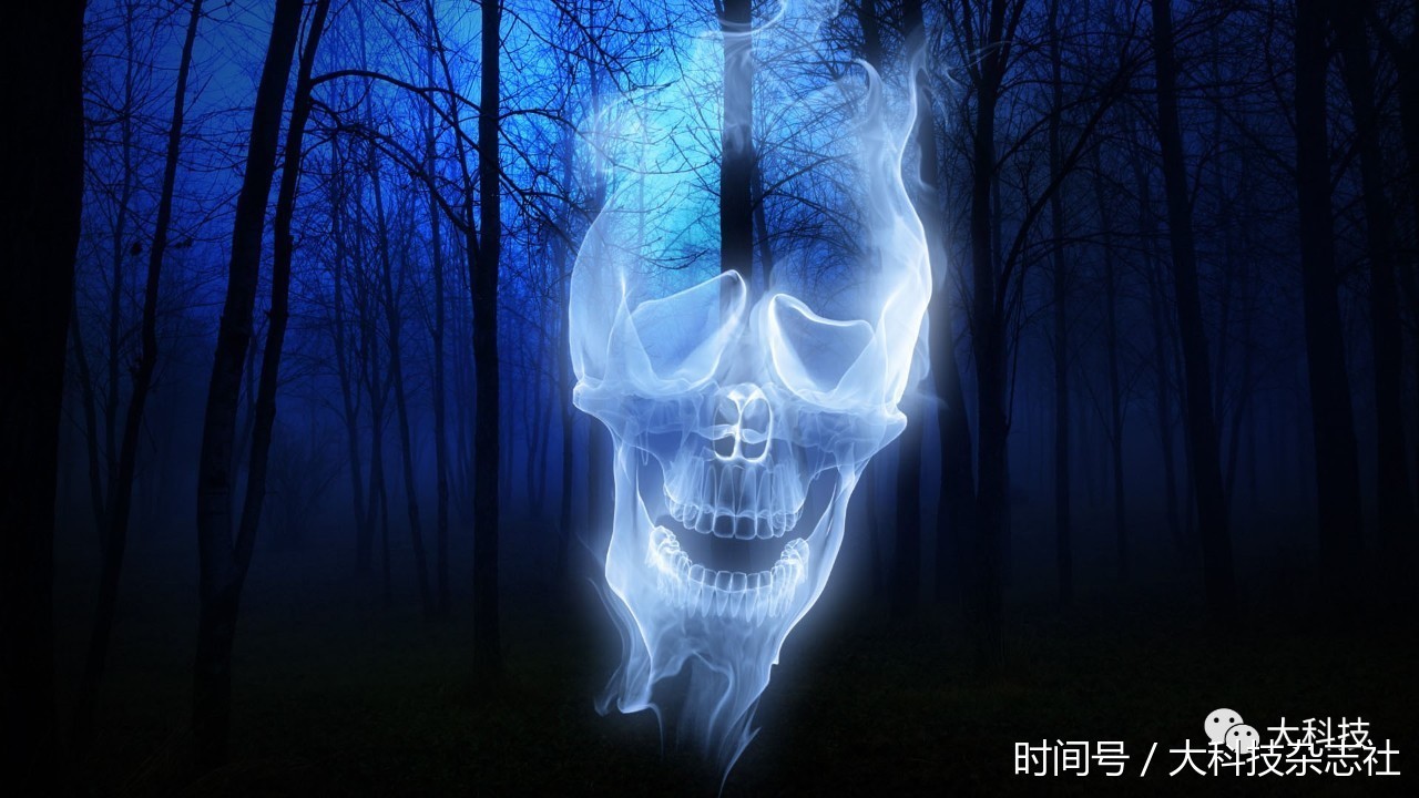 恐怖养成游戏有哪些_恐怖养成类游戏_手机游戏推荐恐怖养成游戏