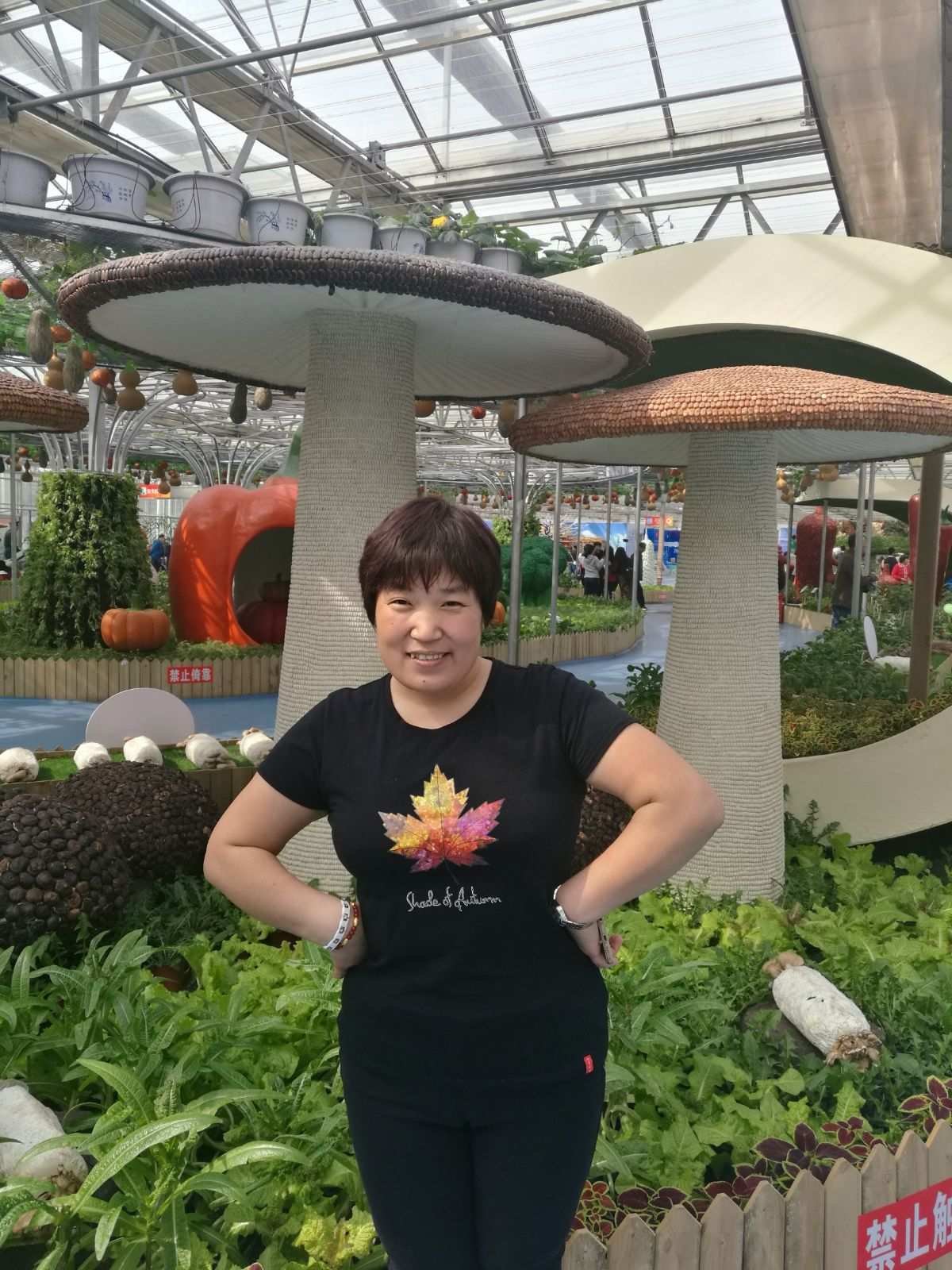 爱莉娅嘉年华_艾莉娅嘉年华_嘉年华莉莉