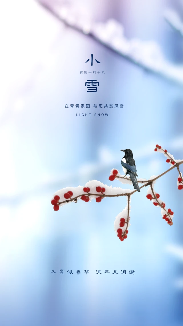 小雪是什么意思_小雪是指什么_小雪意思是下雪的天气吗