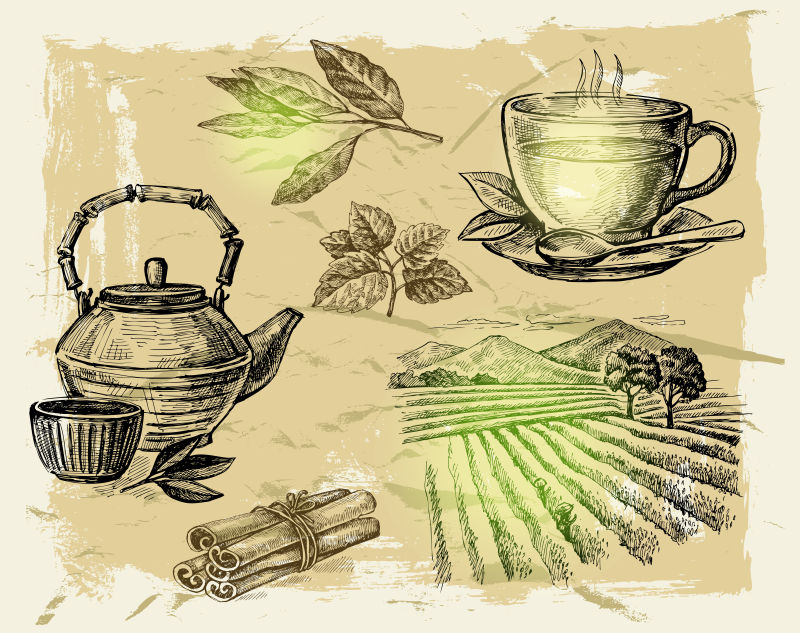 茶绘_茶绘网址_茶绘君