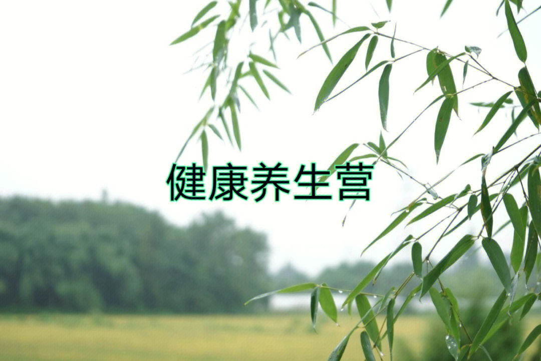 养生手机游戏有哪些_养生手机游戏大全_手机养生游戏