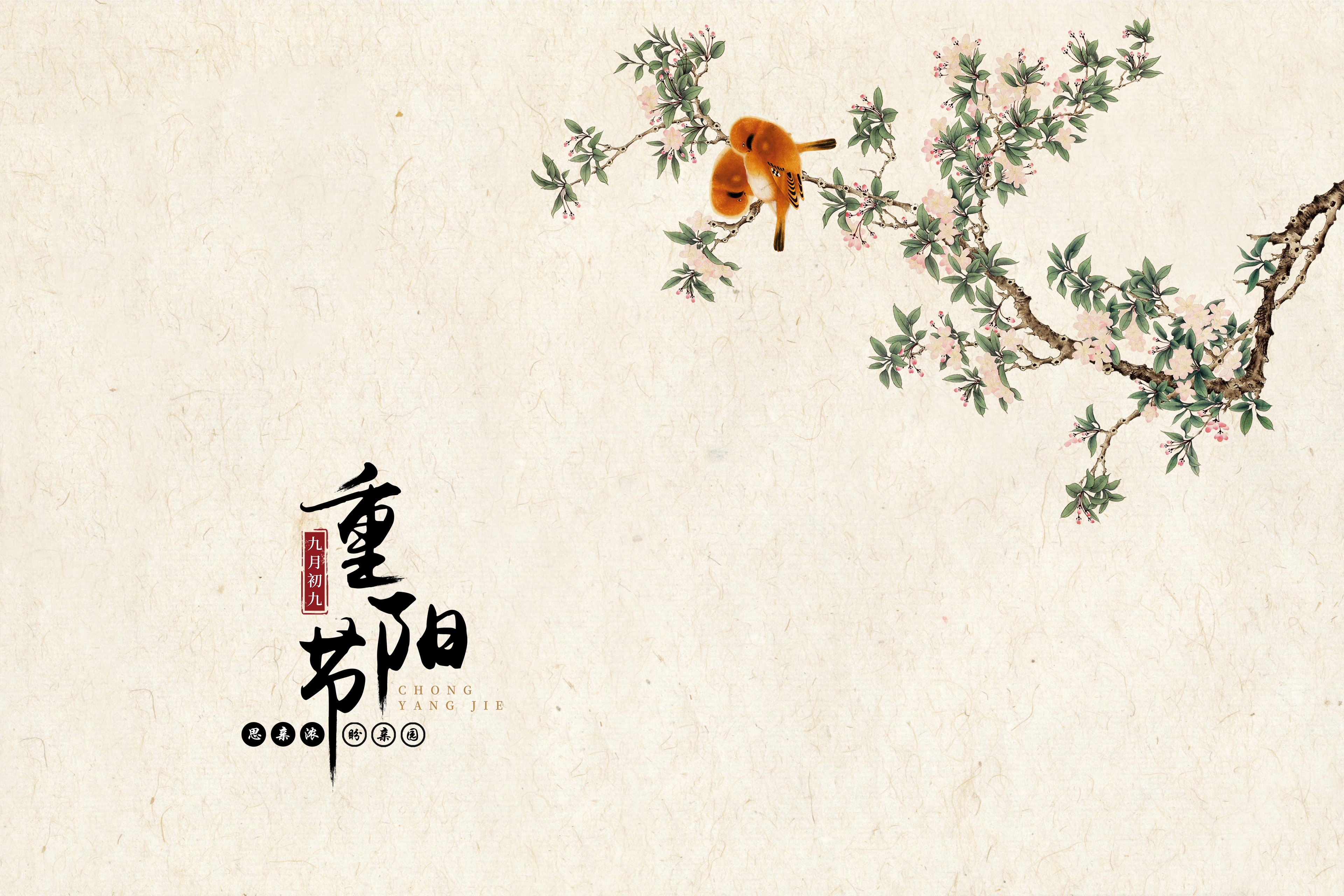 节年猪是什么意思_2001年石门柑橘节视频_年节