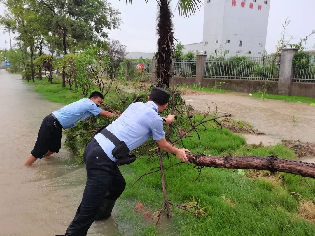 铁雨西瓜影音_铁雨_铁雨2
