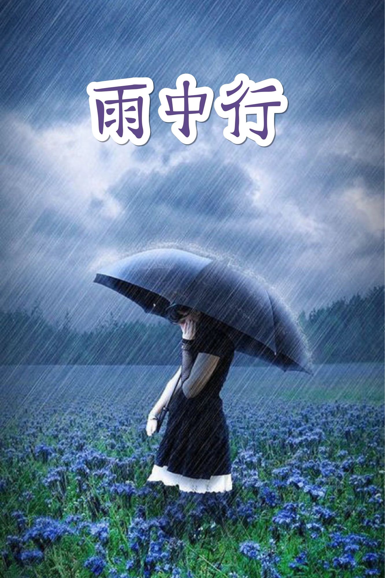 铁雨西瓜影音_铁雨_铁雨2