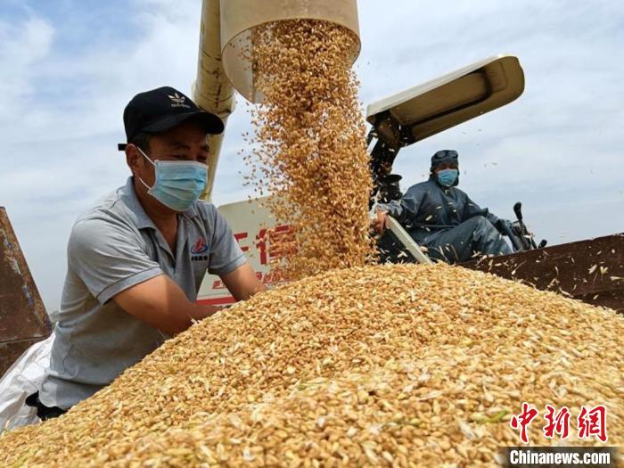 农田手机游戏大全_手机游戏农田_农田游戏红包版