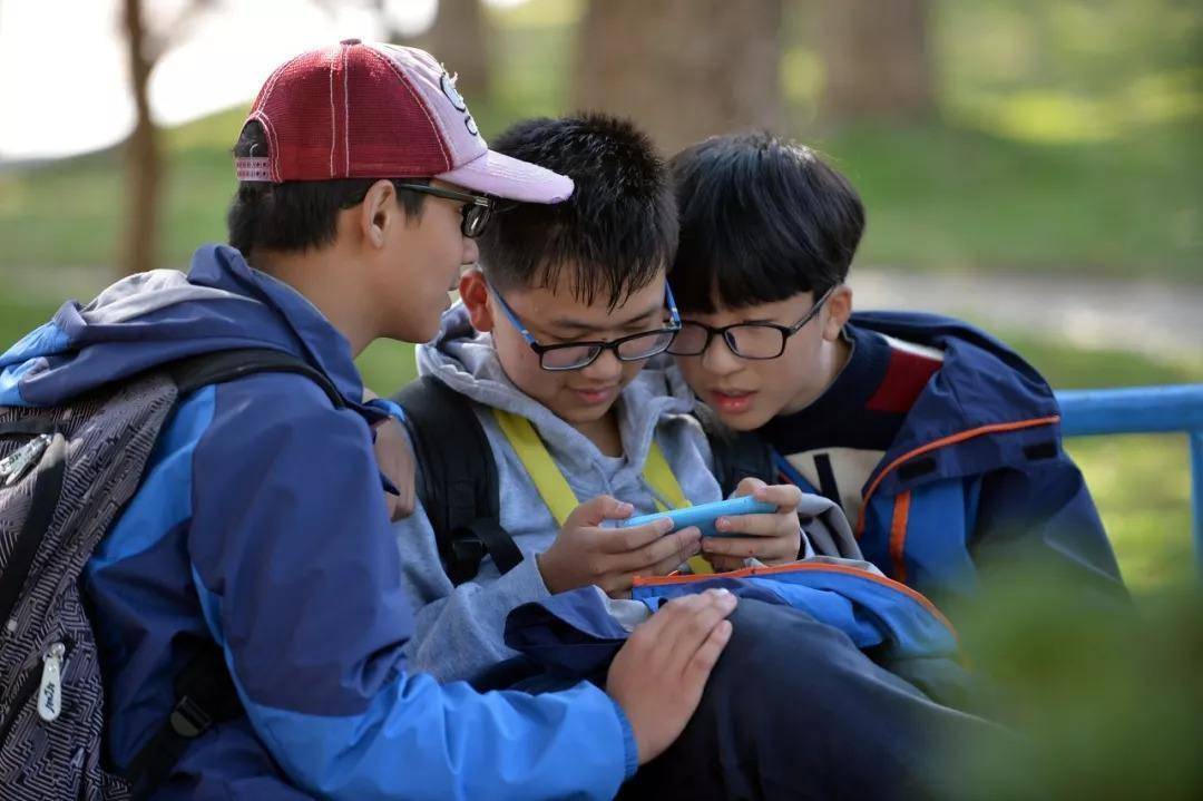 联网禁止手机游戏有哪些_手机游戏禁止联网_联网禁止手机游戏怎么办