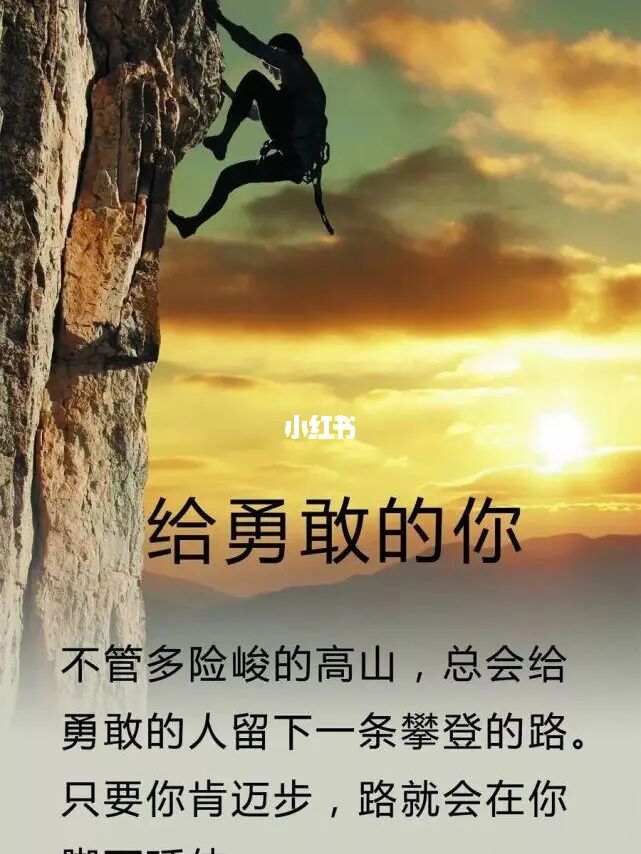 弗洛克：勇气与自由的冒险之路