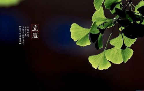 立夏一候_立夏一候_立夏一候
