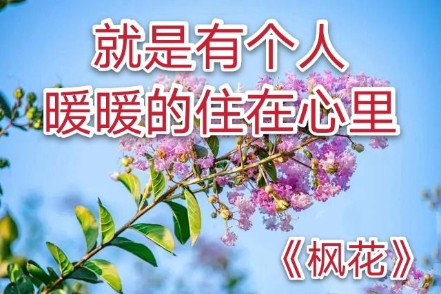 奈安演员_奈安匹林的作用_安奈