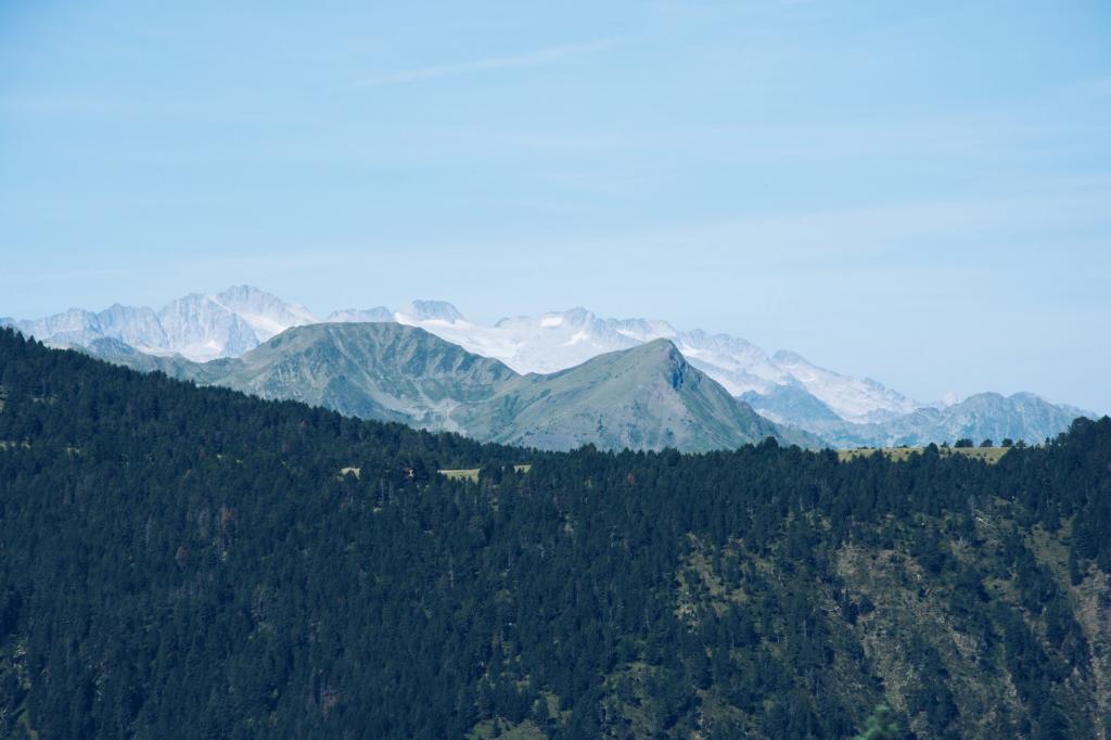 山形县_山形杜牧_山形
