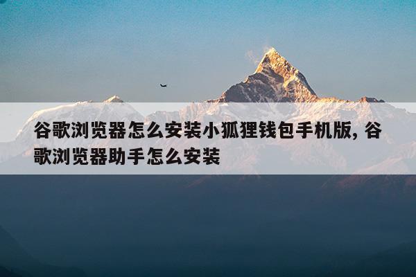 小狐狸钱包浏览器打不开怎么回事_狐狸钱包查看隐藏的代币_狐狸钱包使用教程