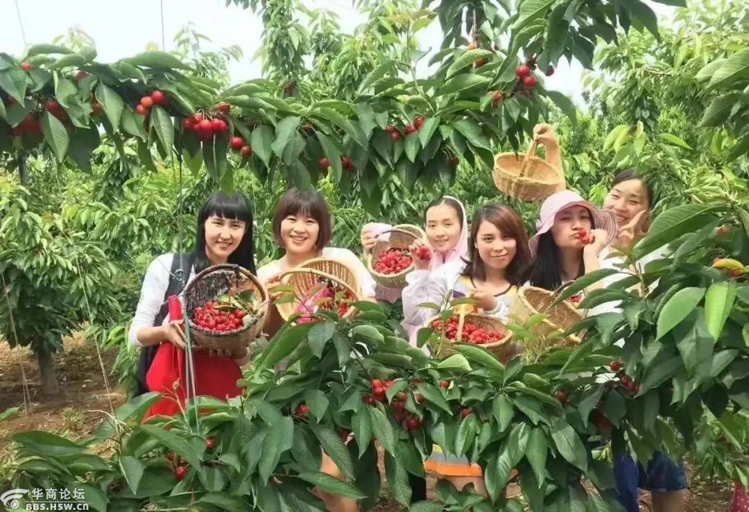 手机森林游戏视频_视频森林手机游戏大全_森林端游视频