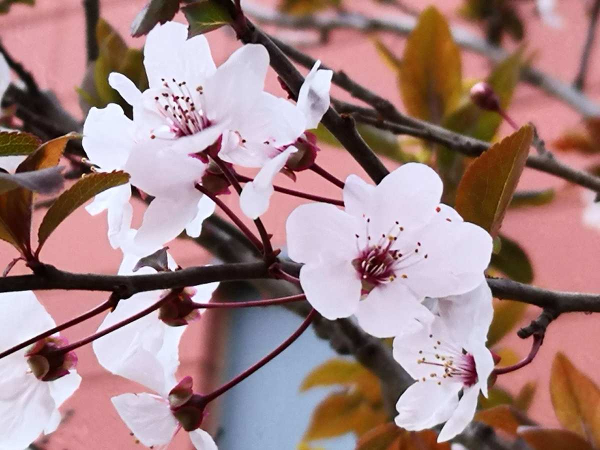 三月的别称及美名_三月别称是什么_三月别称美名是什么