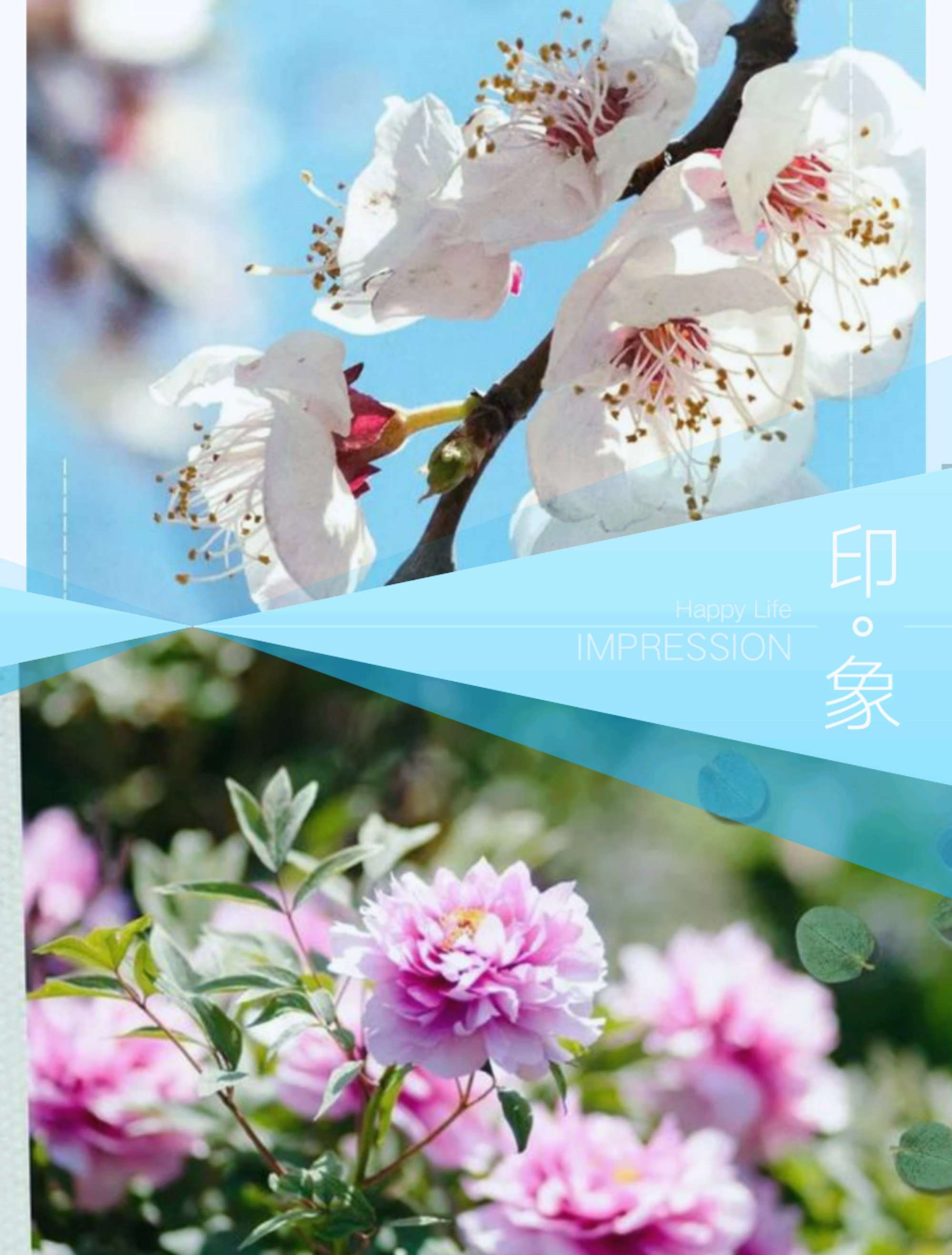 三月的别称及美名_三月别称是什么_三月别称美名是什么