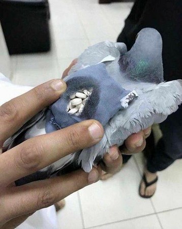 意味不明_意味明显是什么意思_意味明显