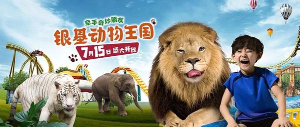 有啥手机游戏_手机游戏有好玩的吗_手机上有什么好玩游戏