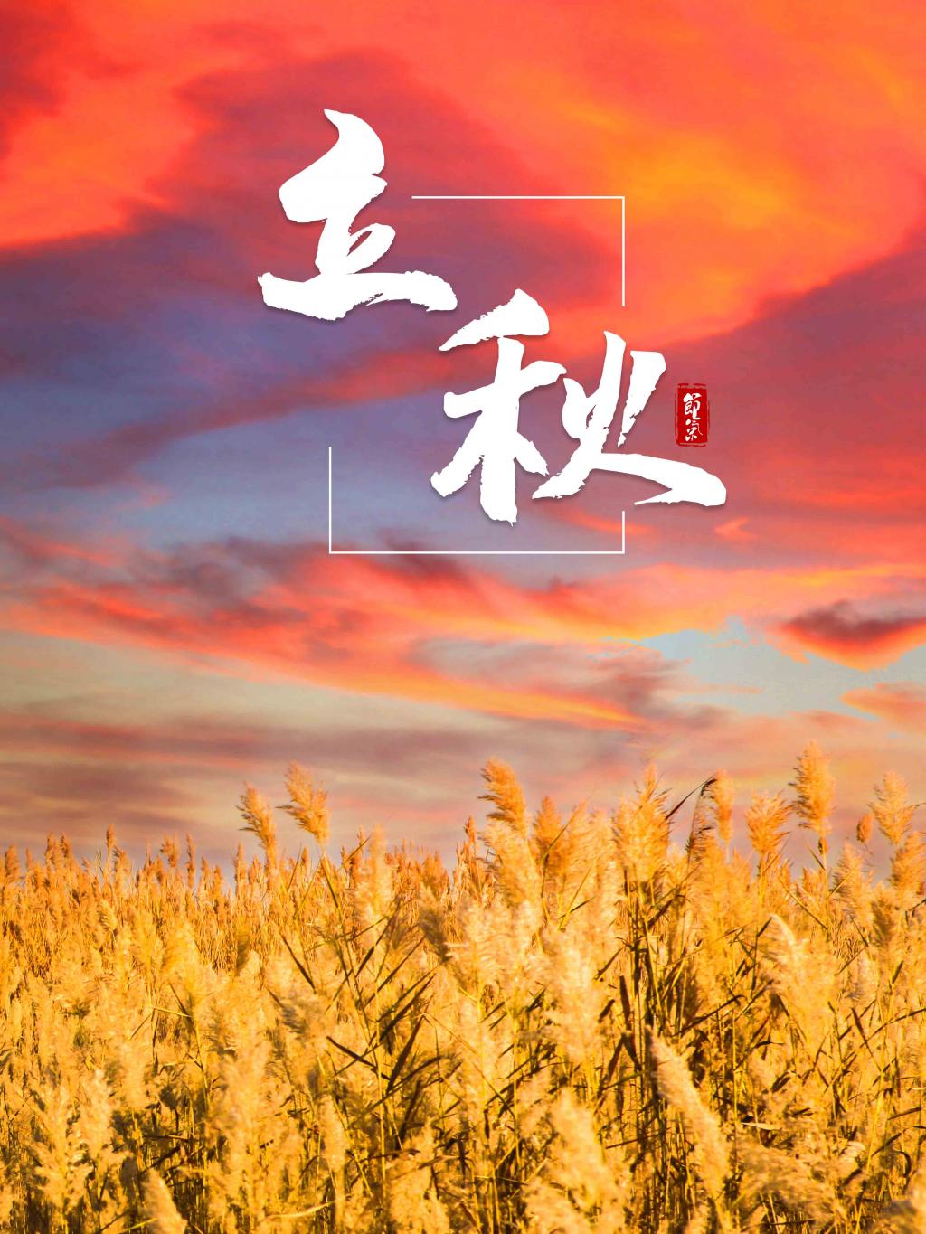 候立秋南阳_立秋三候_什么时候立秋