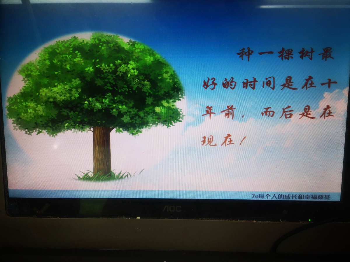 女孩叶子和流浪狗作文_若叶女孩_女孩叶子和流浪狗写一篇作文