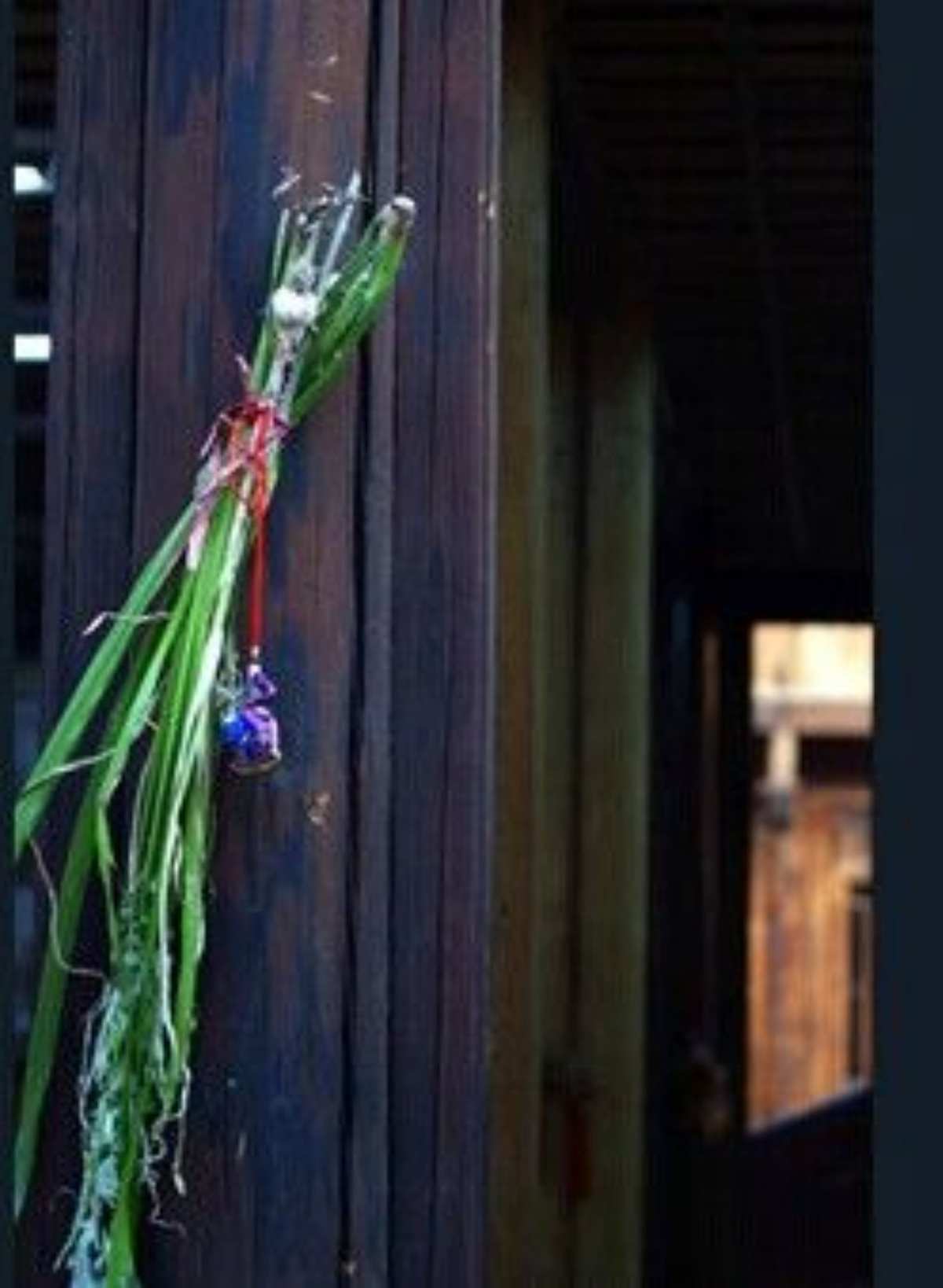 端午节挂艾草与菖蒲的寓意_端午节挂艾草和菖蒲的由来_端午节挂菖蒲艾叶的意义