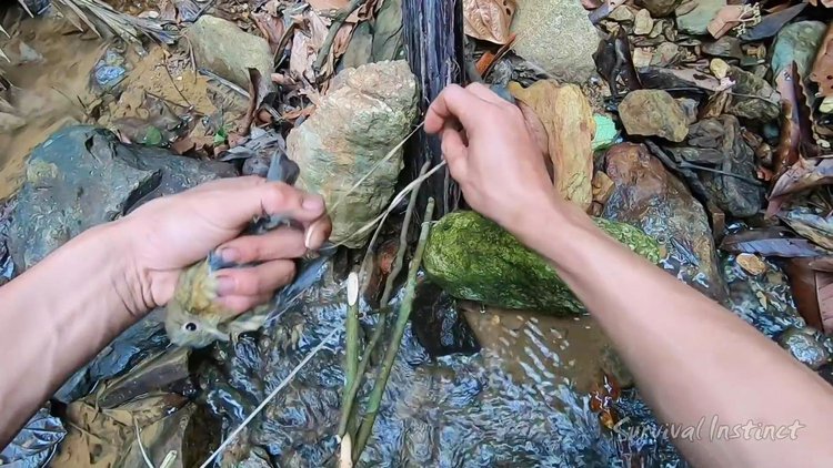 孤岛生存游戏手机版_手机游戏单机孤岛生存视频_孤岛生存类单机游戏