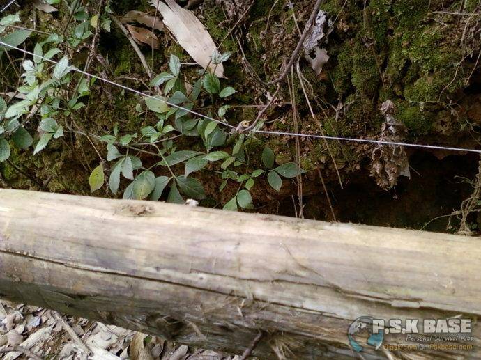 手机游戏单机孤岛生存视频_孤岛生存游戏手机版_孤岛生存类单机游戏