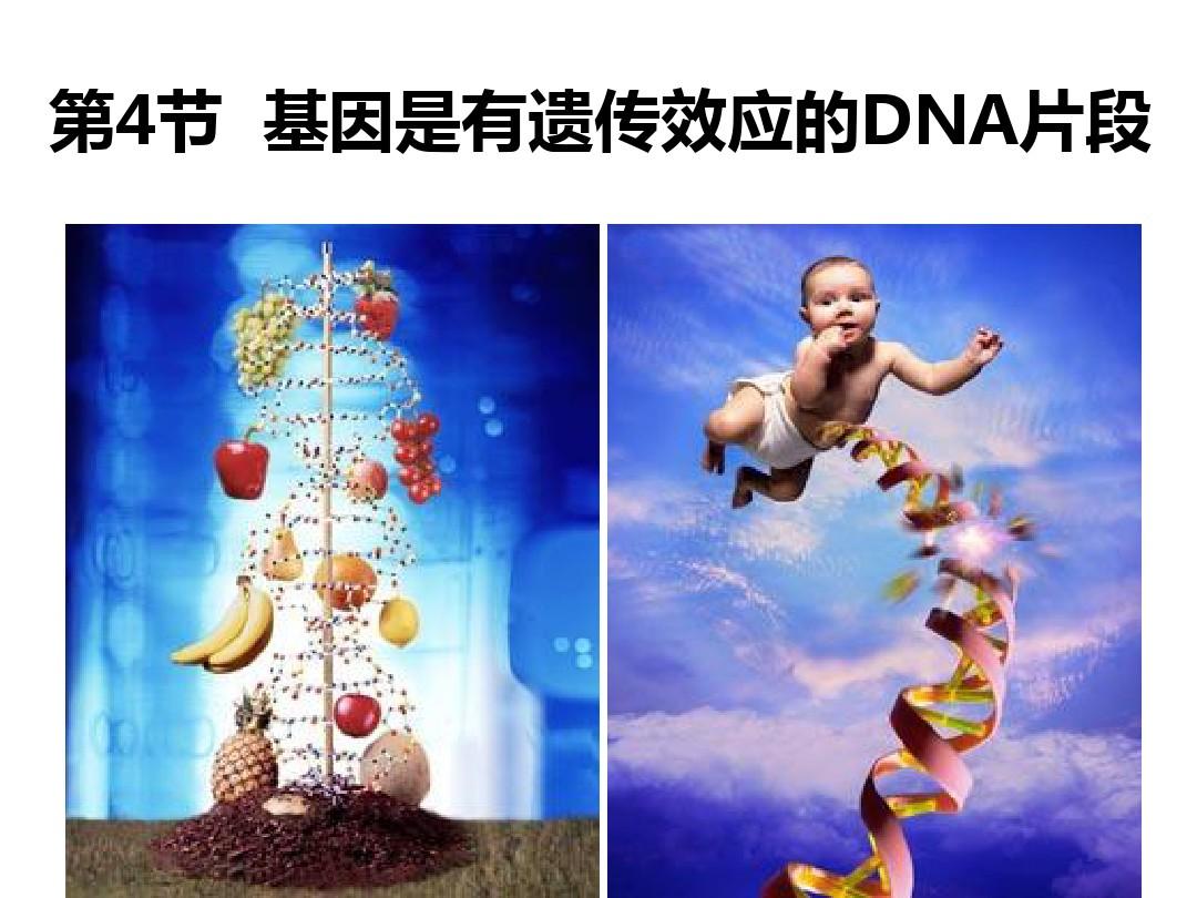 遗传厄运在线观看流畅_遗传厄运高清完整版在线观看_遗传厄运在线观看完整免费版