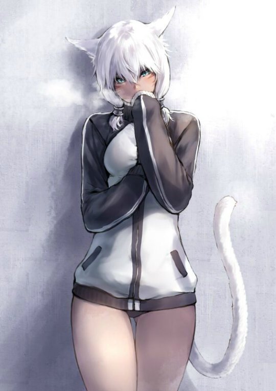 猫女游戏室_手机游戏猫女_猫女游戏怎么过关呀