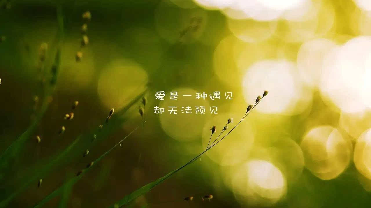若陀_张须陀张须陀_陀翡利迩