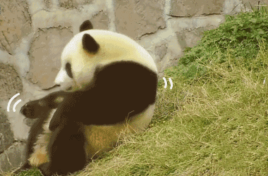 肥良_肥良_良肥几月份收