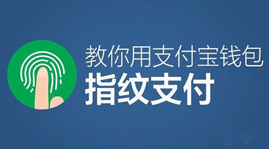小狐狸钱包的安全性_小狐狸钱包安全性如何设置手机_狐狸钱包怎么安装