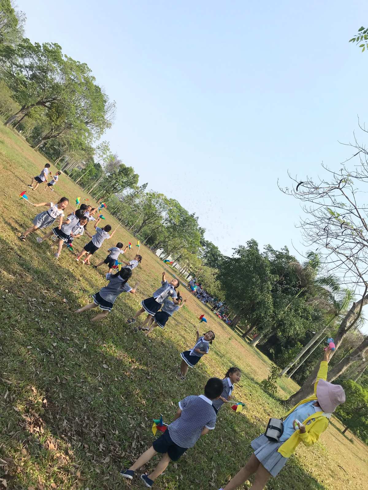 草地背景手机游戏软件_草地背景手机游戏图片_手机游戏草地背景