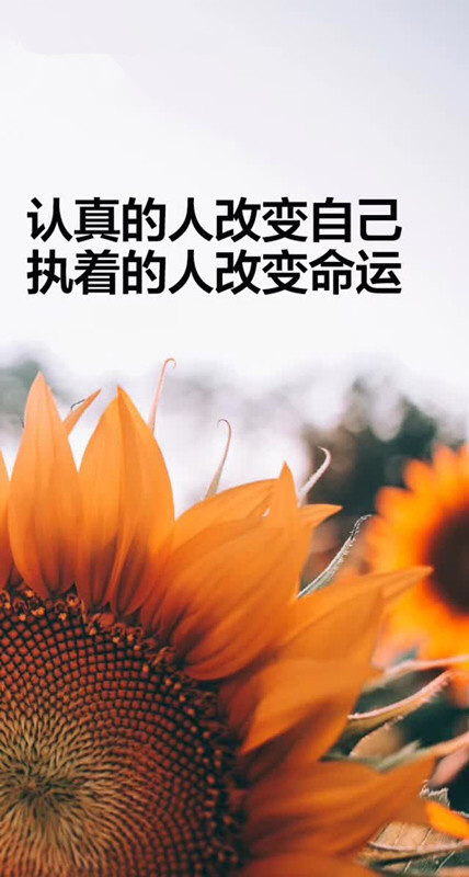 卡露拉_夏迪斯和卡露拉_卡露拉巨人