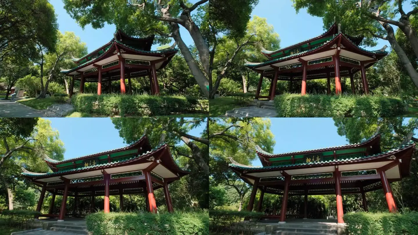 柳生家高嫁_柳家知乎_肉嫁高柳家の人