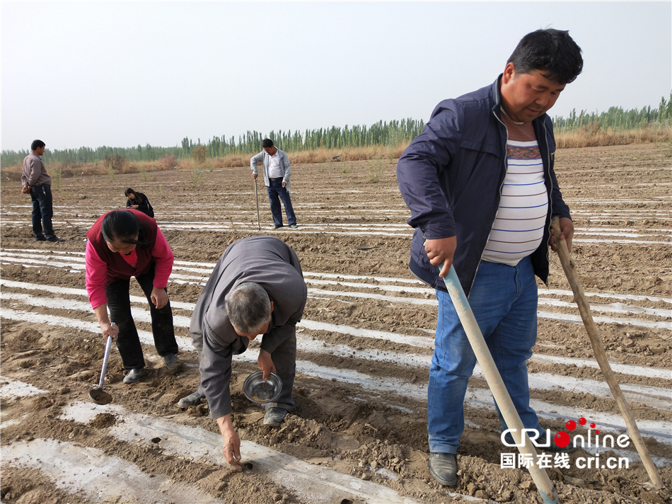 瓜豆分剖_种瓜点豆_最值系列之瓜豆原理