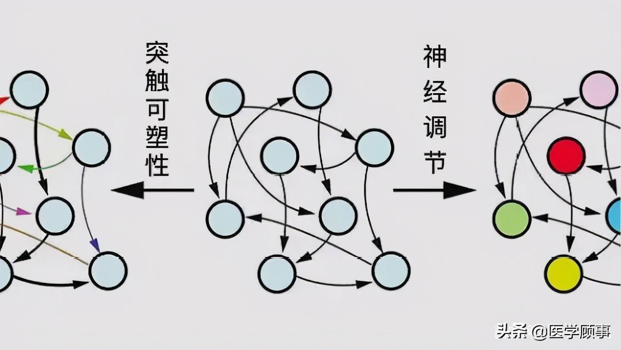 安吉拉脑叶公司cos_安吉拉脑叶公司立绘_脑叶公司安吉拉