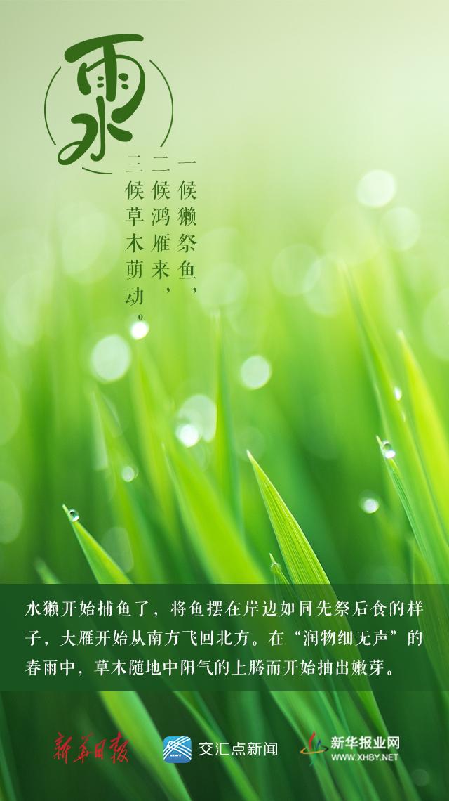 水月雨是哪个国家的_雨水是天空哭过的痕迹_雨水是几月几日?