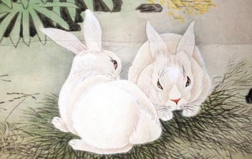 兔年是哪几年生的_兔年生是几岁_兔年生是文昌星