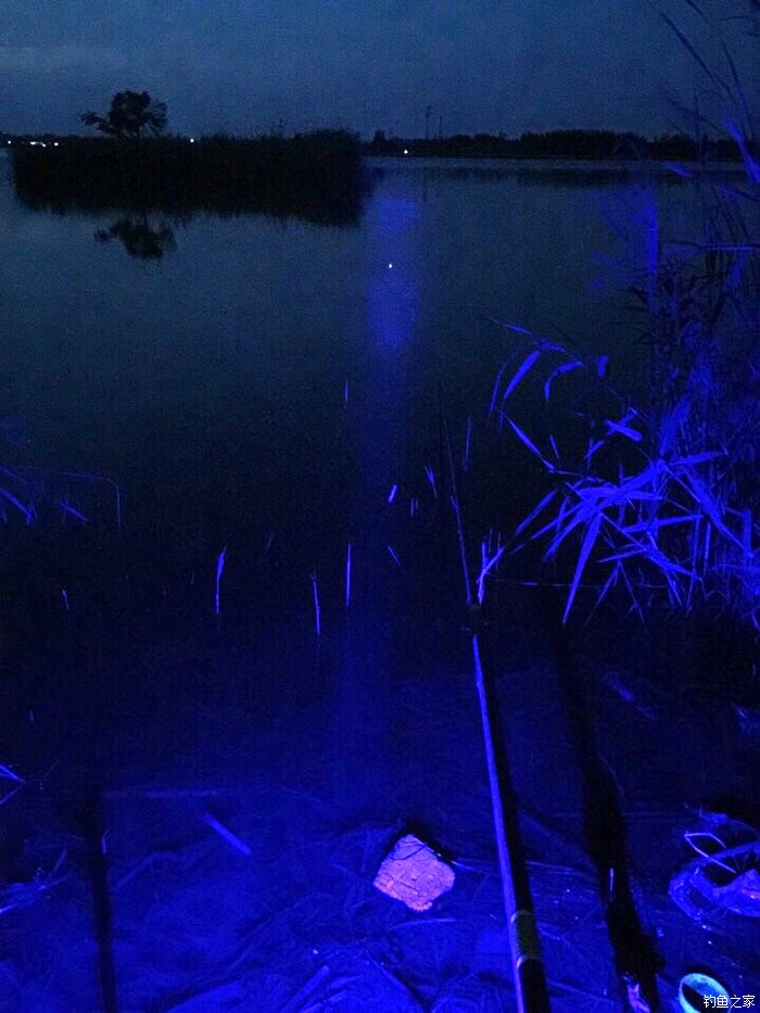 手机游戏钓鱼直播_钓鱼直播手机游戏怎么玩_钓鱼直播下载
