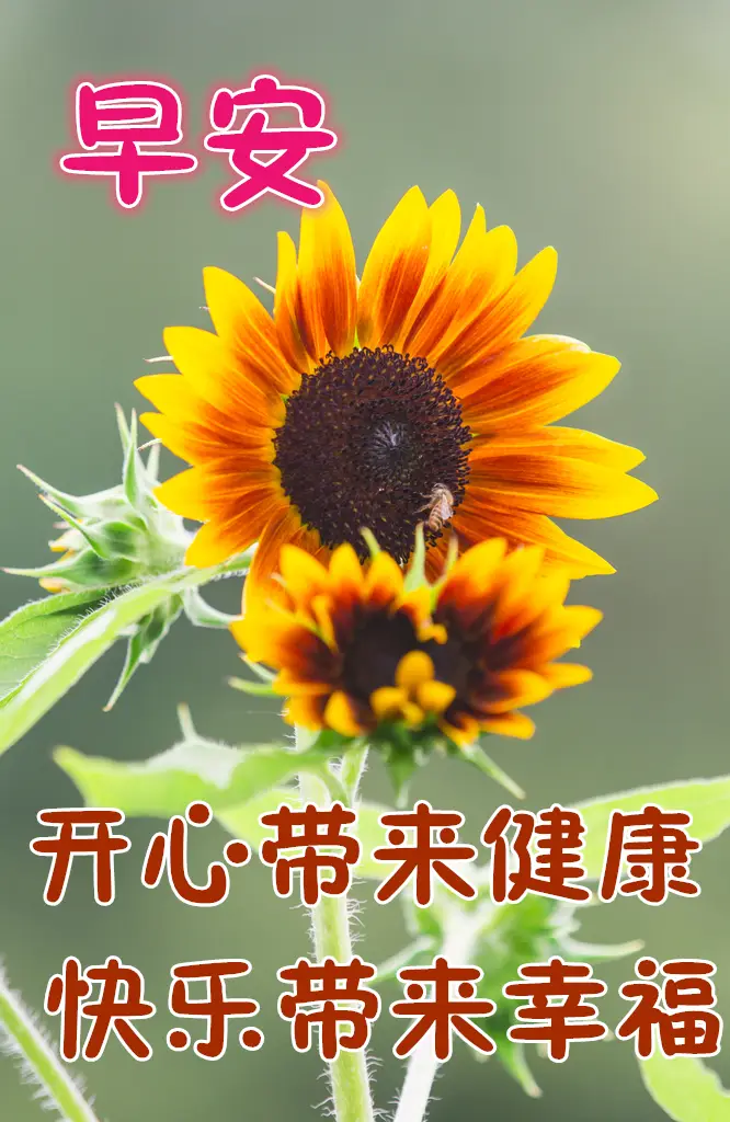 惠子相梁_惠子威廉_千惠子