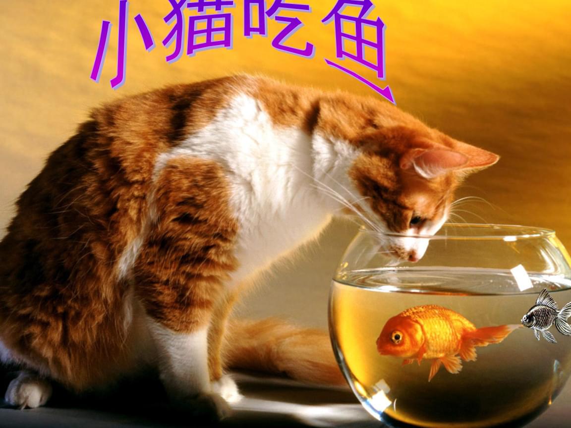 小猫钓鱼，三招致胜