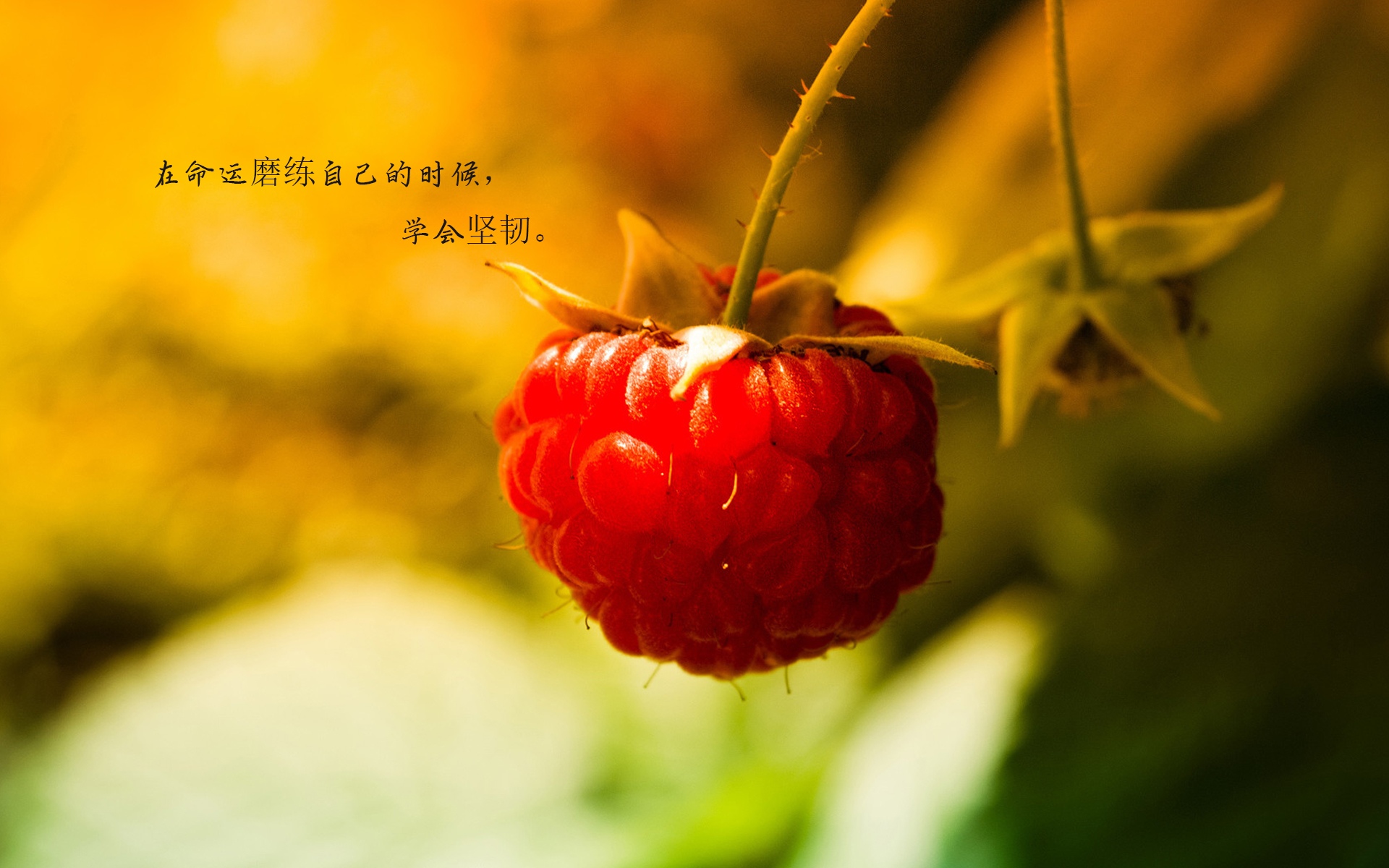 心灵终结壁纸-感受大自然的抚慰，释放压力找回内心平静