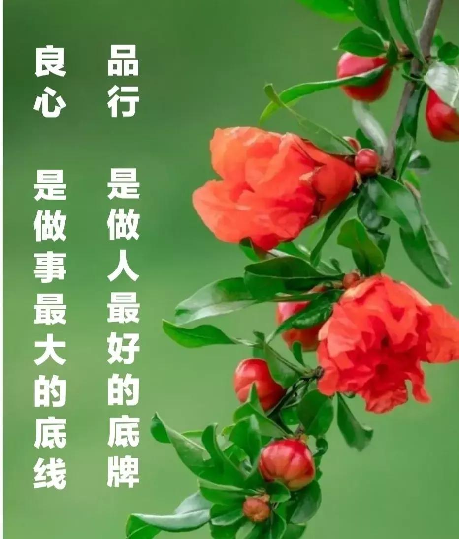 懂礼貌手机游戏有哪些_手机游戏懂礼貌_懂礼貌的小游戏