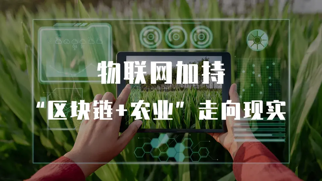 imtoken下载_imtoken是什么公司的_imtoken