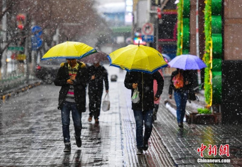 清明下雨的说法_清明下雨意味着什么_清明下雨句子