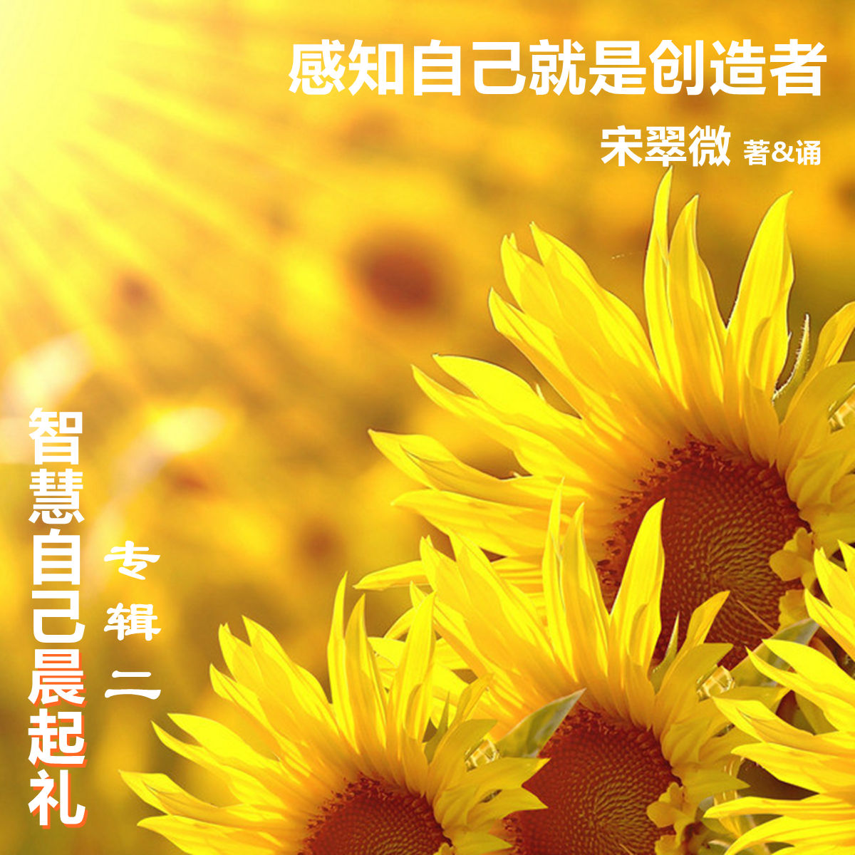 慢日志_日志慢琳女装_慢日志