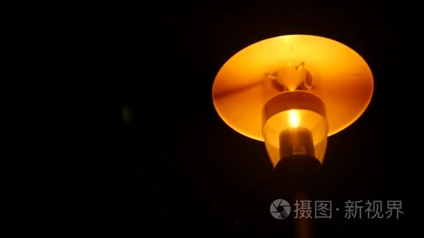 光与夜之恋cv_恋夜客服_cv薄荷恋人影后是cv吗