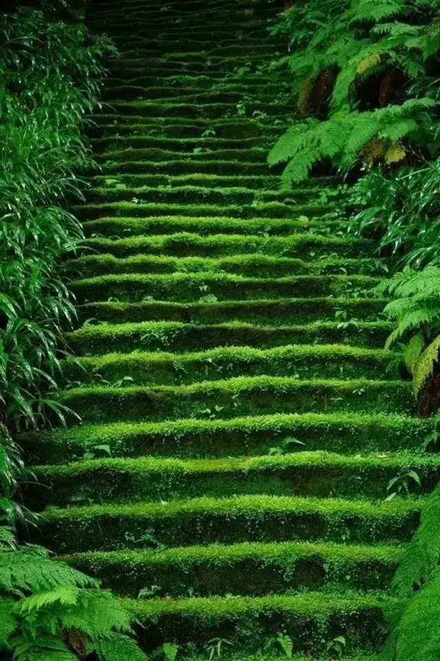 电影诺丁山演员_电影诺丁山剧情简介_诺丁山电影