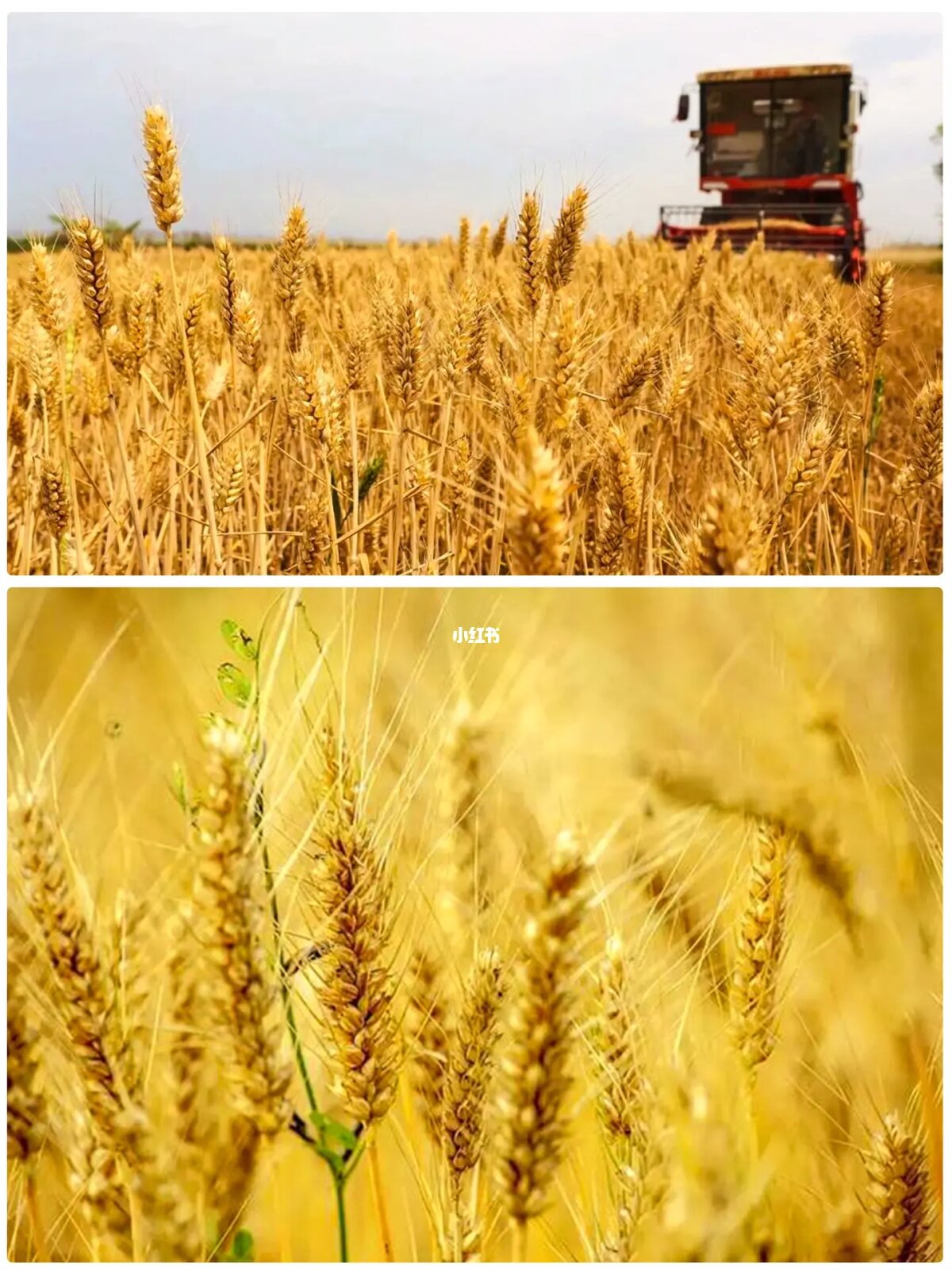 手机上面可以下载的小游戏_手机上面可以下载的小游戏_手机上面可以下载的小游戏