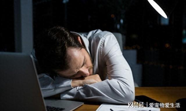 生存人类手机游戏破解版_手机游戏人类生存_生存人类手机游戏推荐