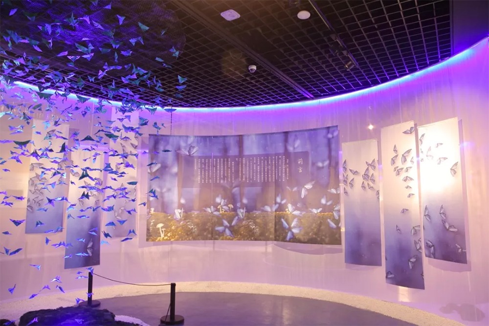 羽鸦是什么意思_羽鸦神_鸦羽